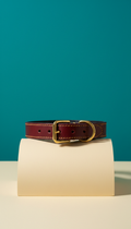 Collar de cuero genuino para perro